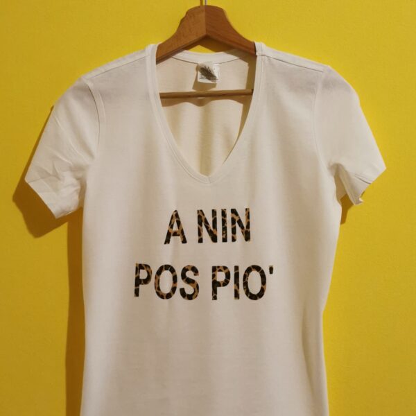 A NIN POS PIO'