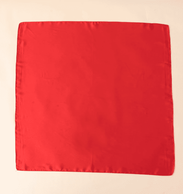 BANDANA STAM SO' DA DOOS 70x70 cm - immagine 2