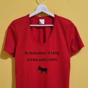 IN MANCANSA 'D CAVAJ A TROTA ANCHE I ESEN