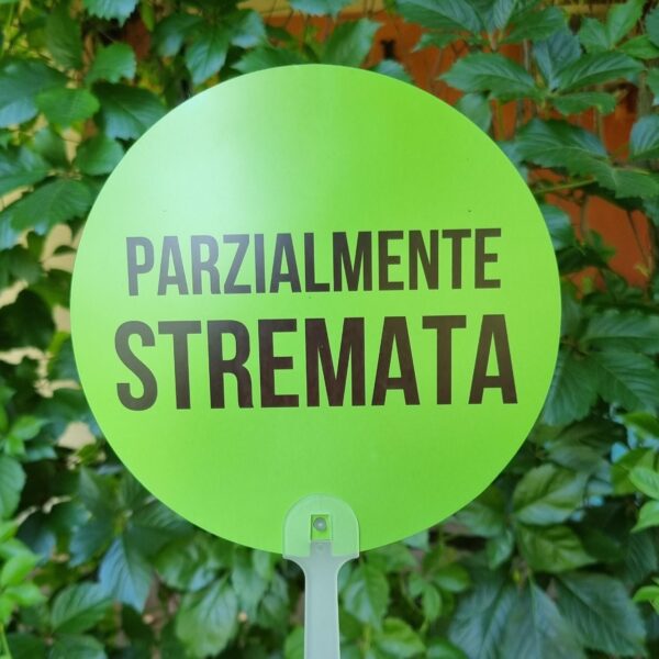 Aggiungi un tocco di ironia alle giornate più afose con i nostri ventagli rotondi colorati! Leggeri, pratici e super simpatici, sono perfetti da portare in borsa, in valigia o nella tua quotidianità estiva. Ogni ventaglio è realizzato in materiale resistente e presenta una forma rotonda accattivante, accompagnata da una frase spiritosa che non passerà inosservata. Ideali per eventi, feste, gadget originali o semplicemente per sopravvivere con stile e sarcasmo al caldo torrido. Non sono solo utili, ma anche un vero statement estivo.