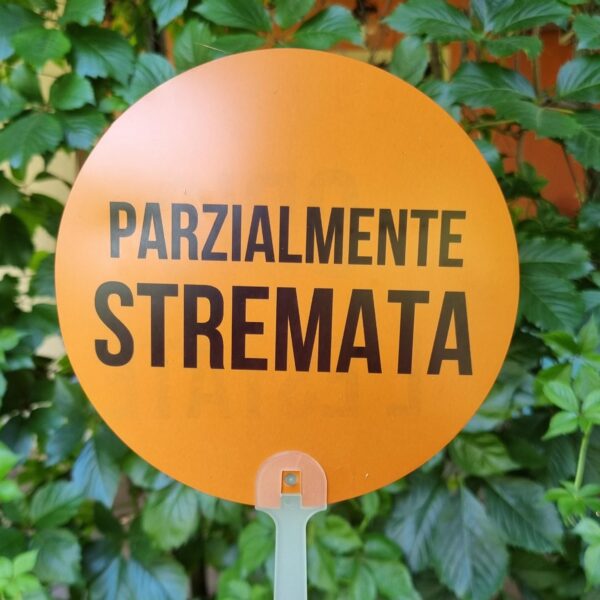 Aggiungi un tocco di ironia alle giornate più afose con i nostri ventagli rotondi colorati! Leggeri, pratici e super simpatici, sono perfetti da portare in borsa, in valigia o nella tua quotidianità estiva. Ogni ventaglio è realizzato in materiale resistente e presenta una forma rotonda accattivante, accompagnata da una frase spiritosa che non passerà inosservata. Ideali per eventi, feste, gadget originali o semplicemente per sopravvivere con stile e sarcasmo al caldo torrido. Non sono solo utili, ma anche un vero statement estivo.