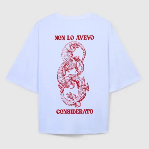 NON LO AVEVO CONSIDERATO